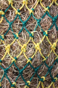 Horse size stripe  small  mesh nets