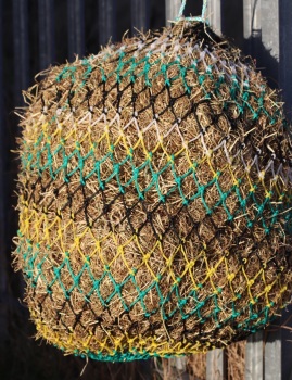 Horse size stripe  small  mesh nets