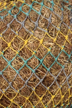 Horse size stripe  small  mesh nets
