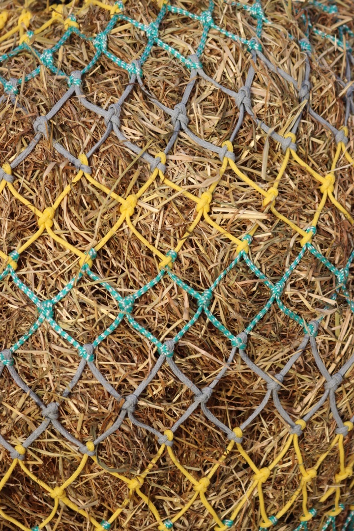 Horse size stripe  small  mesh nets