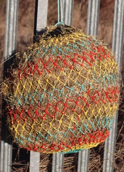 Horse size stripe  small  mesh nets