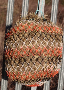 Horse size stripe  small  mesh nets