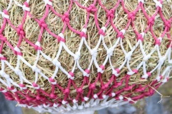 Horse size stripe  LARGE  mesh nets
