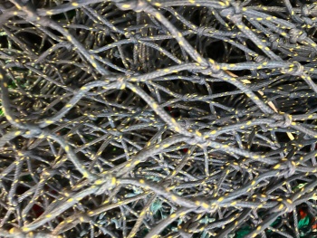 55mm netting panel