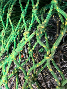 35mm netting