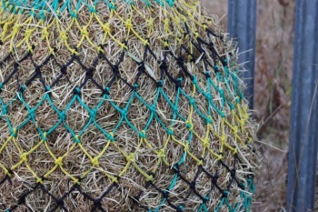 Cob  stripe small  mesh nets 6kg