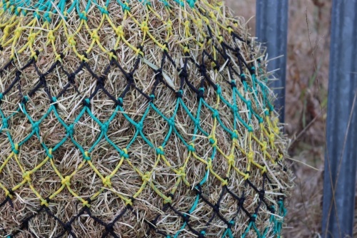 Cob  stripe small  mesh nets 6kg