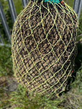 Double net 3.5ft warmblood the ultra net