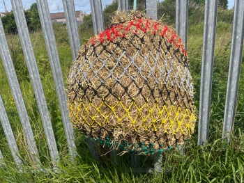 Small    mesh nets 6kg cob size