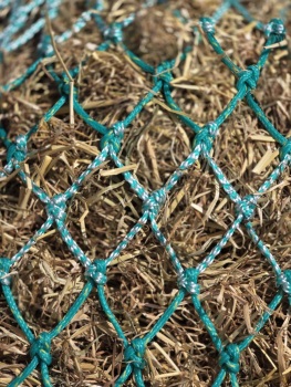 pony net 35mm mesh