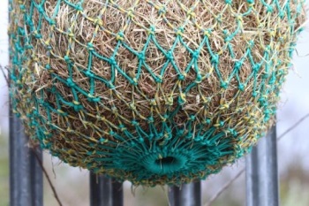 pony/travel nets