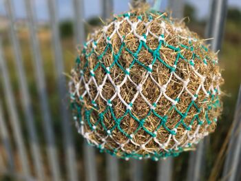 28inch pony net 35mm mesh
