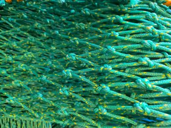 Round bale net