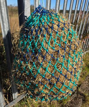 Horse stripe  small  nets 6kg purple and green