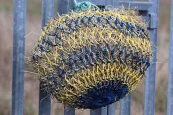 Horse size stripe  small  mesh nets