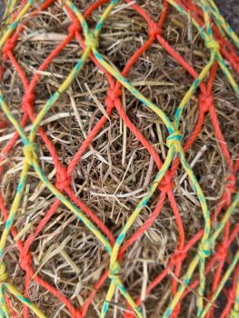 Double net  3ft horse