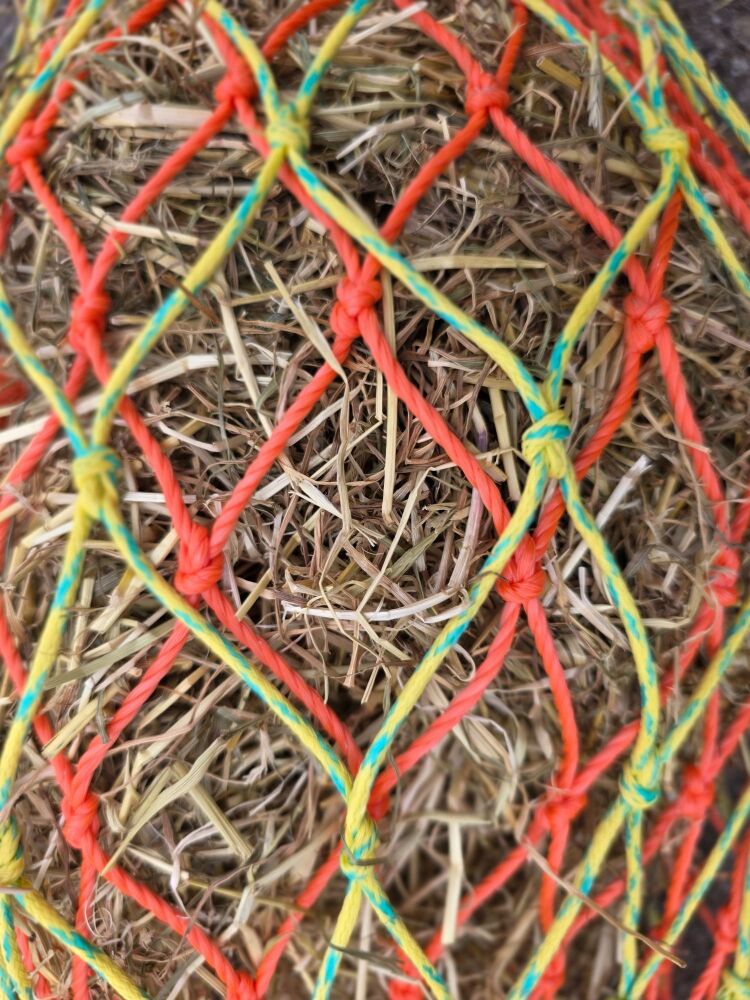 Double net  3ft horse