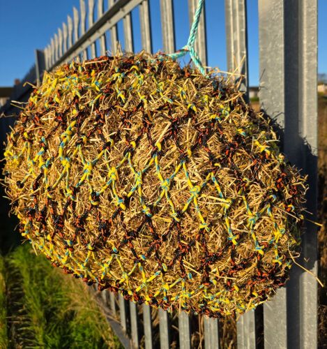 28inch pony net 35mm mesh