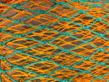 Double net  3ft horse