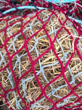 Double net 2.5ft cob knotless