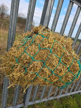 2ft haybag.