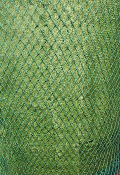 Round bale net 3mm compact Twine 40mm  mesh  mesh