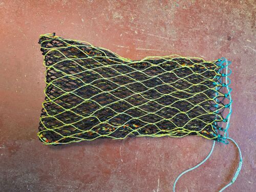 Double net  3ft horse