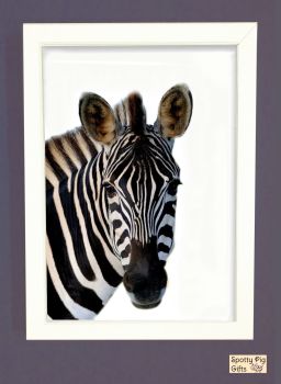 Zebra Print Picture Frameless or Framed Wall Art White Background Gift