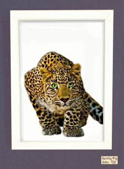 Leopard Print Picture Frameless or Framed Wall Art White Background Gift
