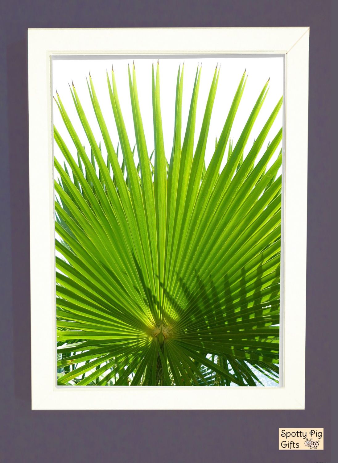 Palm Leaf Print Picture Frameless or Framed Wall Art White