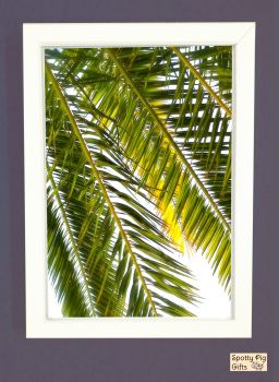 Palm Leaves Print Picture Frameless or Framed Wall Art White Background, Botanical, Gift