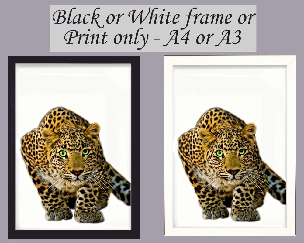 Leopard Print Picture Frameless or Framed Wall Art White Background Gift A3, A4, A5