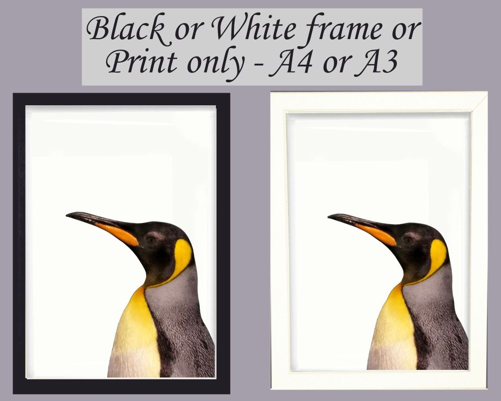 Penguin Print Picture Frameless or Framed Wall Art White Background Gift A3, A4, A5