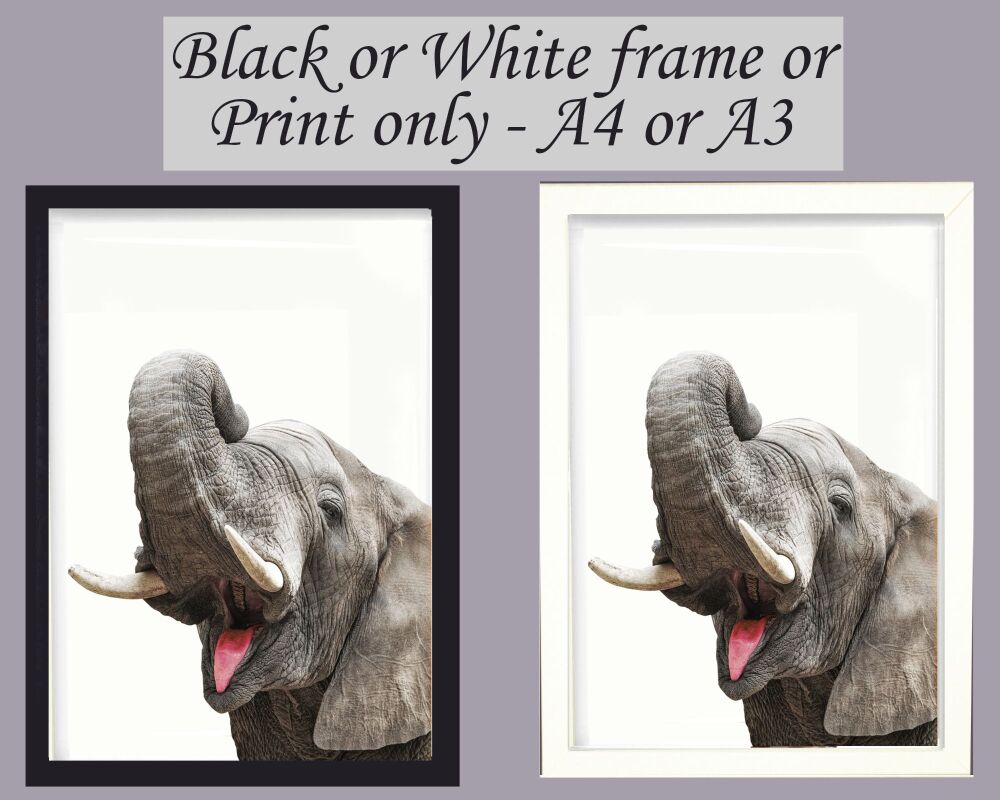 Elephant Print Picture Frameless or Framed Wall Art White Background Grey Gift A3, A4, A5