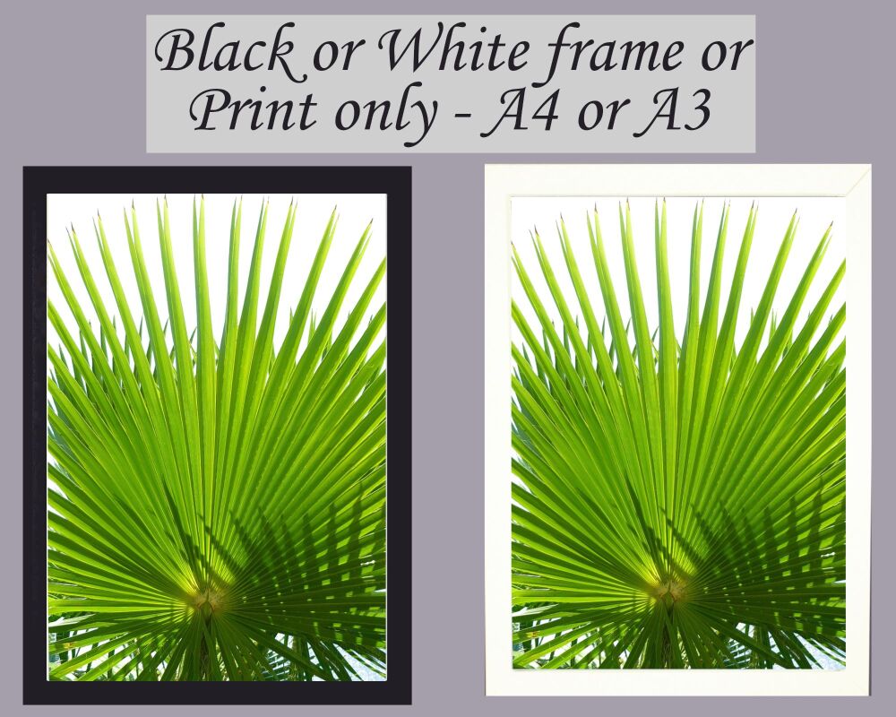 Botanical Print Picture Frameless or Framed Wall Art Green Nature Gift A3, A4, A5