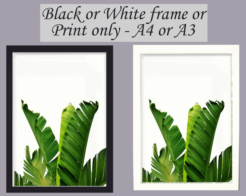 Banana Leaf Wall Art Print Photo Picture botanical leaves trees framed or unframed A5 A4 A3