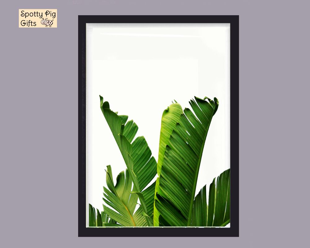Banana Leaf Wall Art Print Photo Picture botanical leaves trees framed or unframed A5 A4 A3