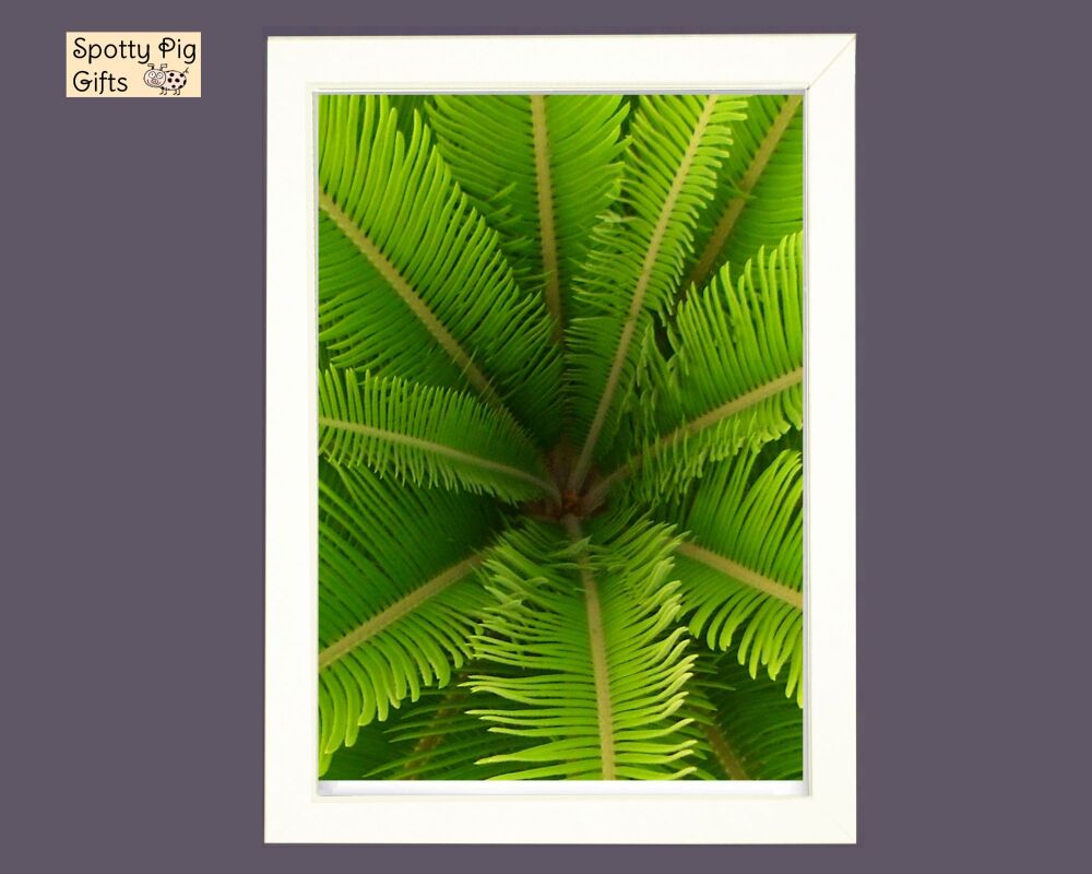 Botanical Wall Art Print Picture Palm Leaf Frameless or Framed A3, A4, A5 Wall Art Green Tree, Nature