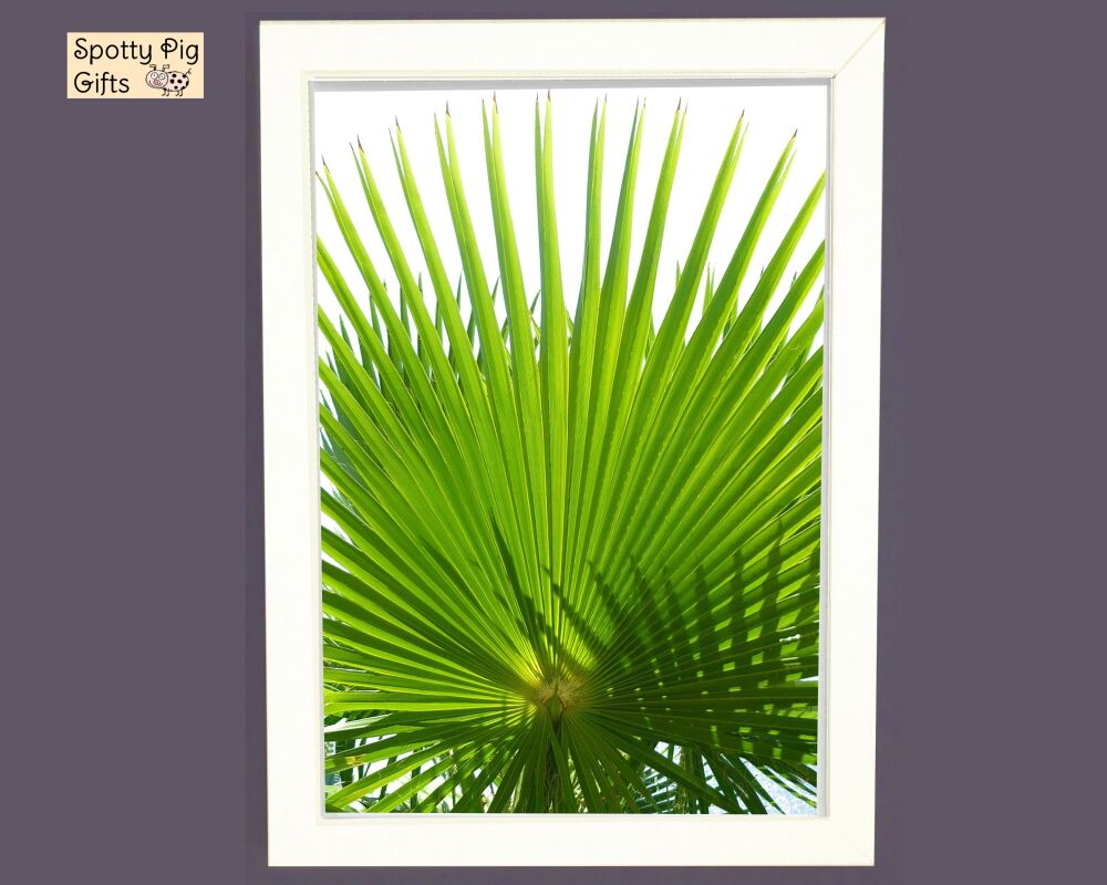 Botanical Wall Art Palm Leaf Tree Print Photo Picture leaves trees framed unframed A3, A4, A5 home decor Handmade gift Frameless or Framed