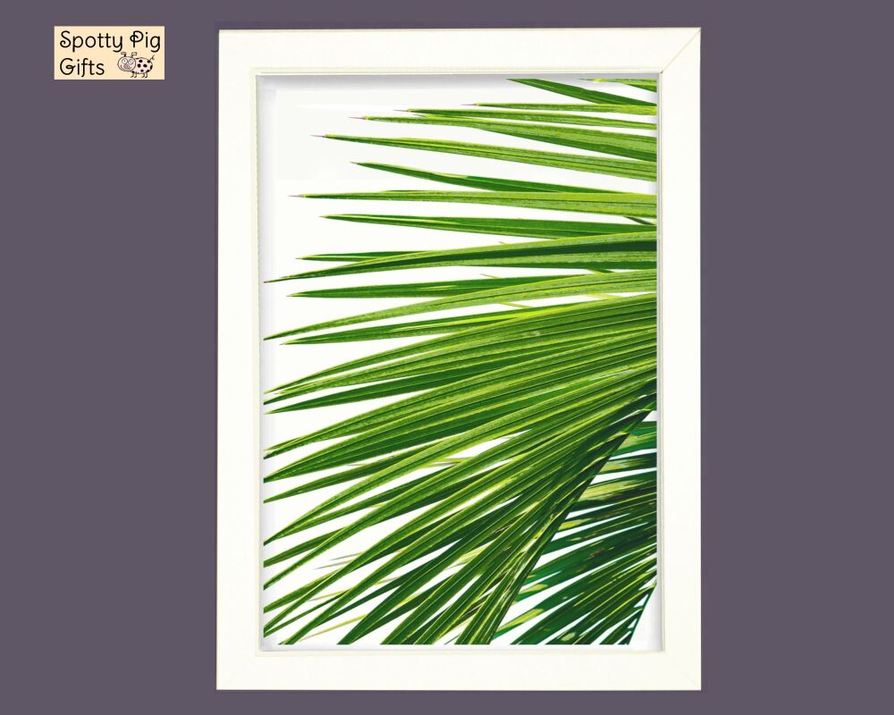 Palm Leaf Tree Print Pictures Set of 2 Frameless or Framed Wall Art White Background, Botanical, Gift A3, A4, A5