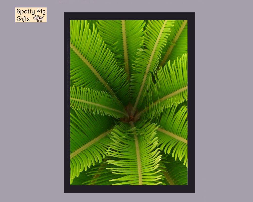 Botanical Wall Art Palm Leaf Print Picture Frameless or Framed White Background Gift A3, A4, A5