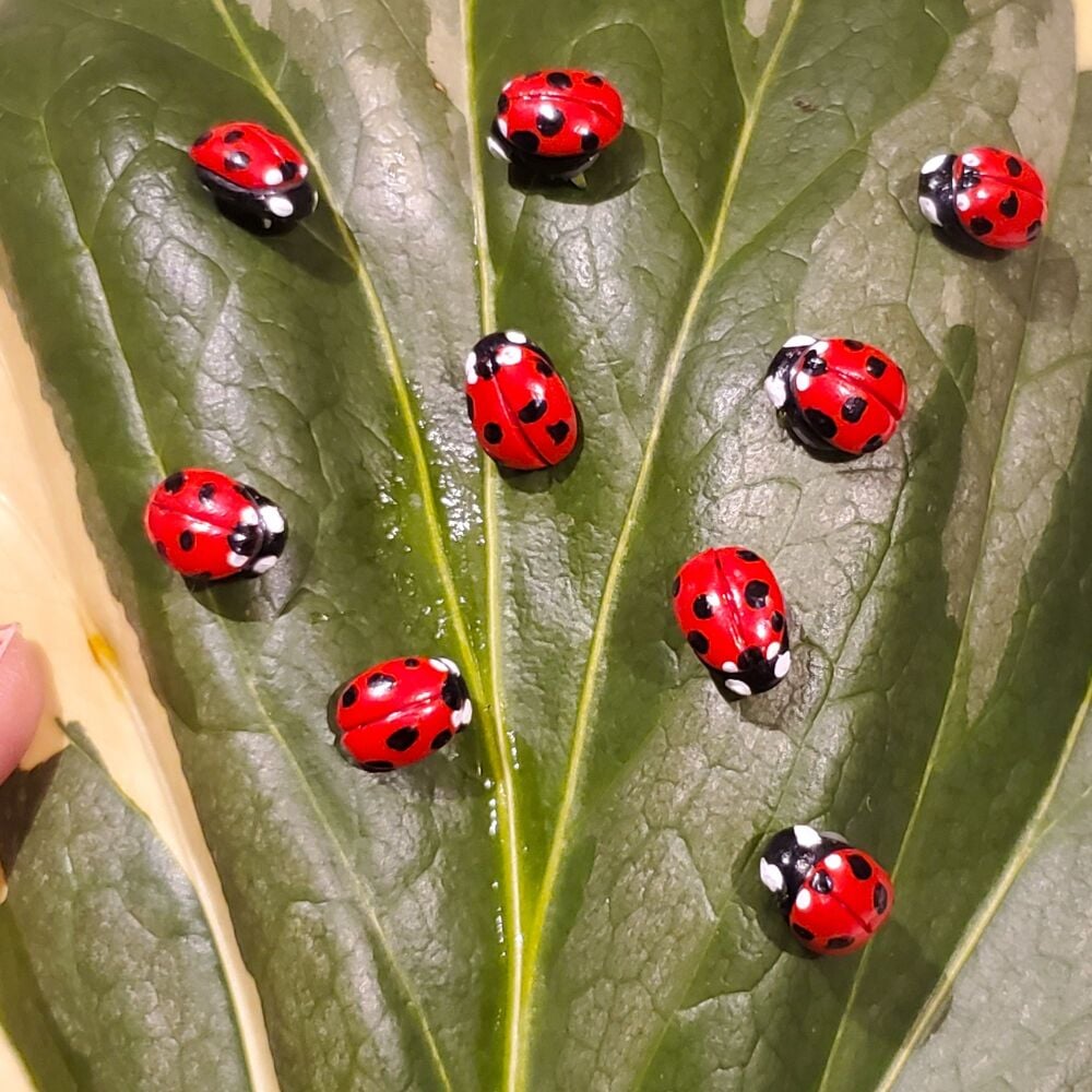 Ladybird brooch pin, realistic handmade clay miniature lucky ladybug, gift, scarf pin