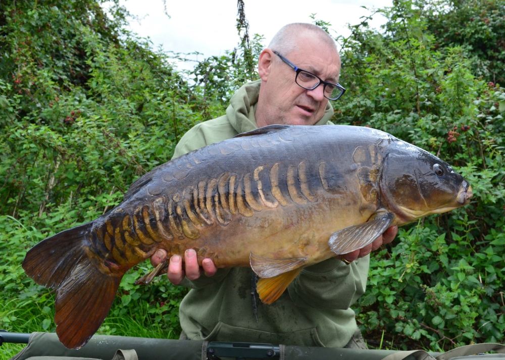 butlers linear