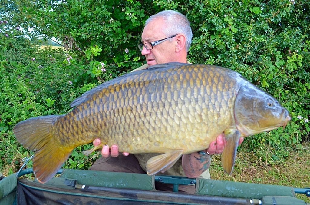 box common