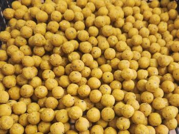 5 kilo Eat me Baits Sweetcorn 15mm Freezer Boilies