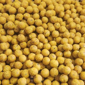 3 kilo Eat me Baits Sweetcorn 18mm Freezer Boilies