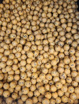 Eat me Baits 3 kilo Shelflife 16mm Scopex Squid Boilies