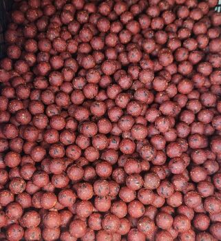 Eat me Baits 3 x kilo Shelflife Spicy Sausage 16mm Boilies