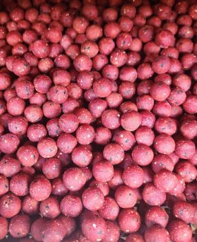 Eat me Baits 3 x kilo Shelflife Red Squid 16mm Boilies