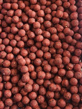 3 kilo Carpysteves 18mm freezer bait Scopex Squid Reds